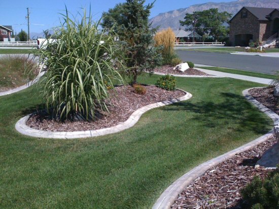 landscape curb